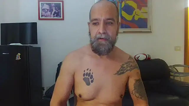 عرض كام AMIRDIB2025