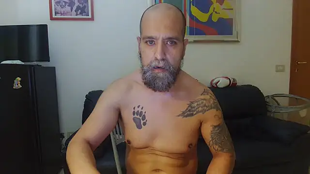 Show de AMIRDIB2025 na webcam