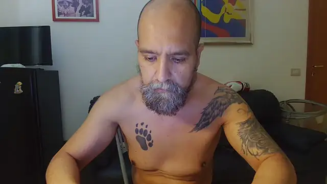 AMIRDIB2025 webcam show