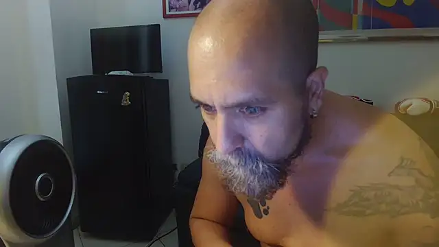 AMIRDIB2025 Webcam show
