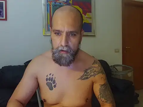 AMIRDIB2025 Webcam show