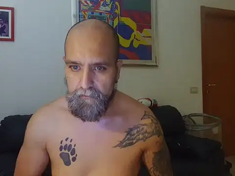 AMIRDIB2025 Webcam show