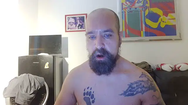 AMIRDIB2025 Webcam-Show