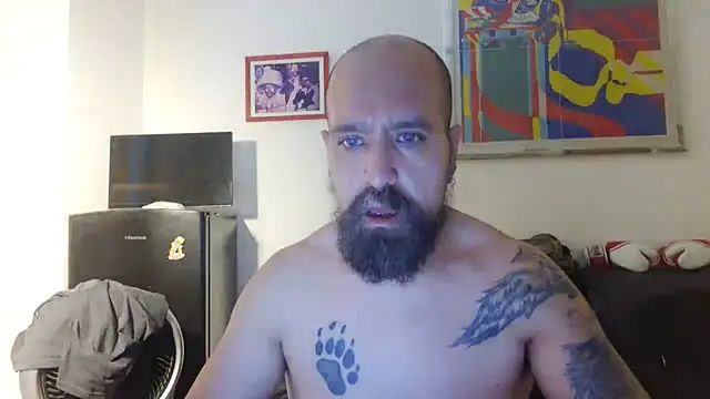 AMIRDIB2025 Webcam-Show