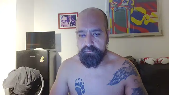 AMIRDIB2025 Show Webcam
