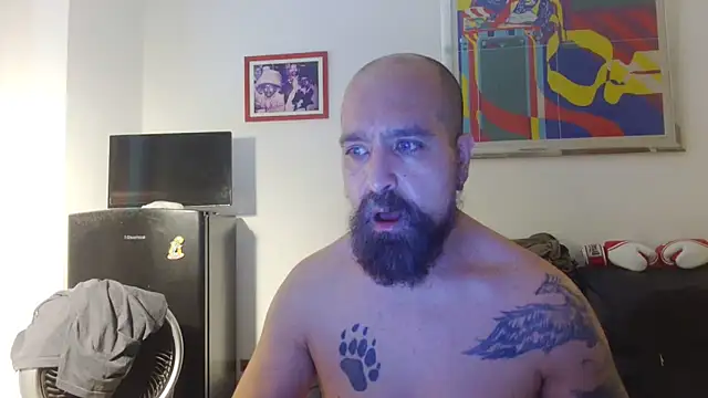 Show webcam de AMIRDIB2025