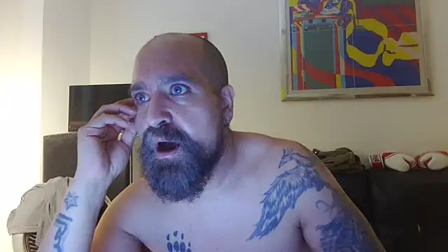 AMIRDIB2025 – webcam-show