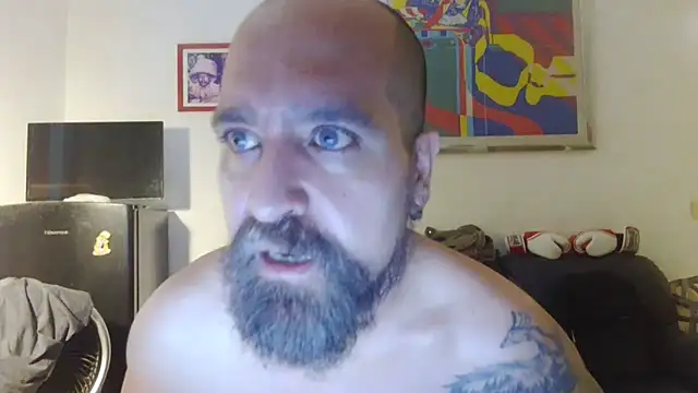 AMIRDIB2025 Show in webcam