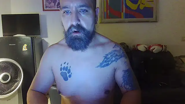 AMIRDIB2025 – webcam-show
