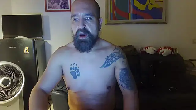 AMIRDIB2025n Webbikameraesitys