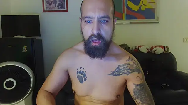 Show Webcam de AMIRDIB2025