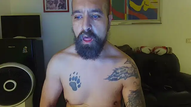 AMIRDIB2025 Webcam show