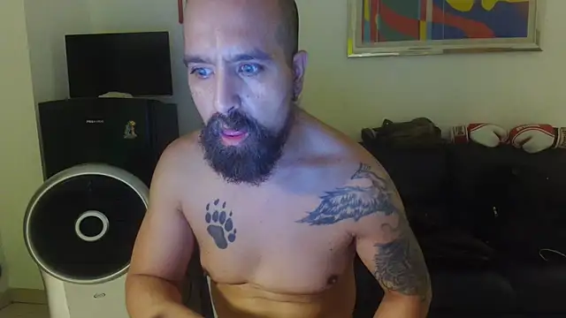 Show webcam de AMIRDIB2025