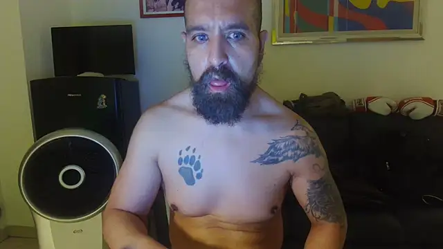 AMIRDIB2025 Webcam-Show
