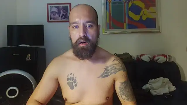 AMIRDIB2025 Show in webcam