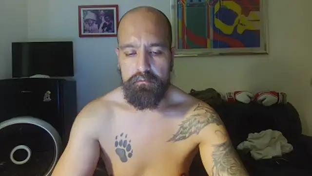 عرض كام AMIRDIB2025