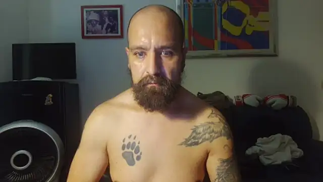 AMIRDIB2025 webcam show