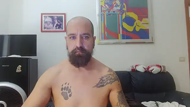 AMIRDIB2025 – webcam-show