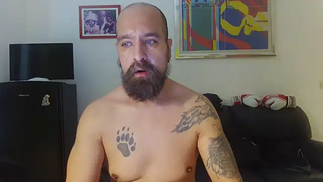 AMIRDIB2025 网络视讯表演