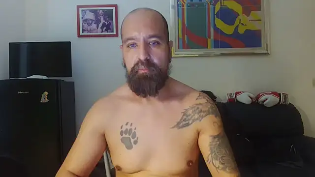 AMIRDIB2025 Show in webcam