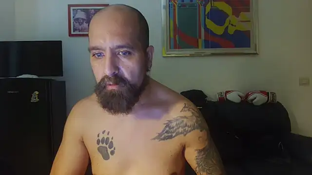 Show webcam de AMIRDIB2025