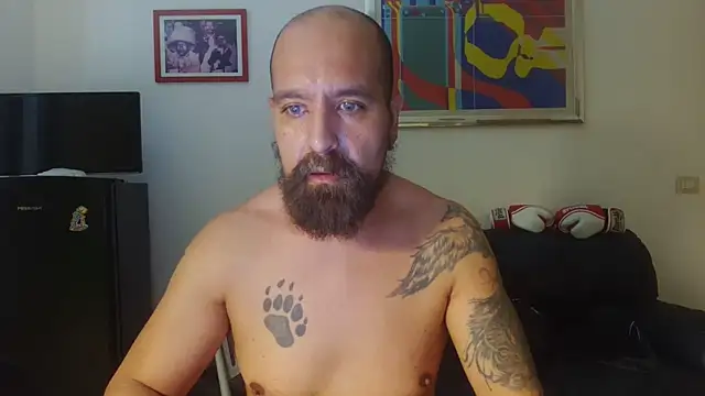 Show de webcam de AMIRDIB2025