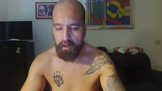 AMIRDIB2025 Webcam show
