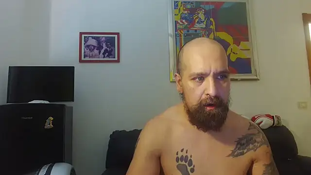 Вебкам-шоу AMIRDIB2025