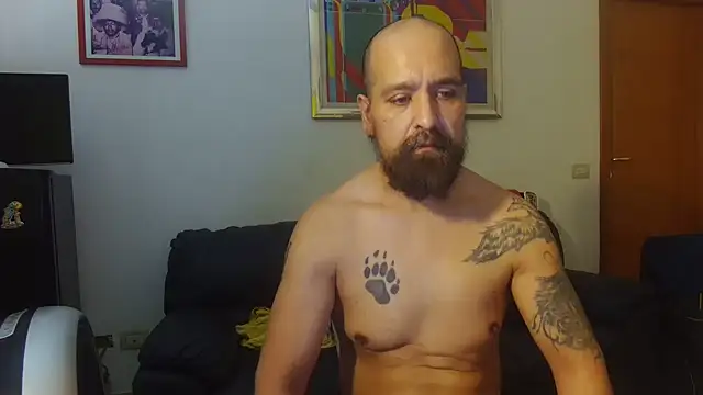 Show webcam de AMIRDIB2025