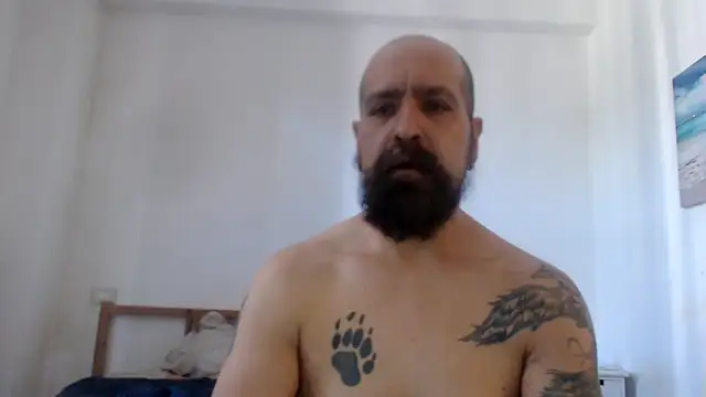 AMIRDIB2025n Webbikameraesitys