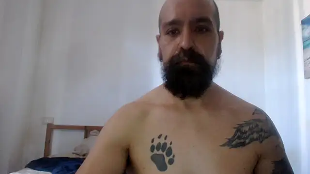 AMIRDIB2025 Show in webcam