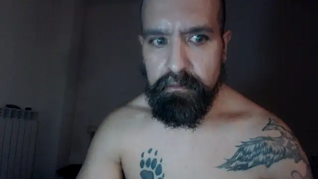AMIRDIB2025 Webcam show