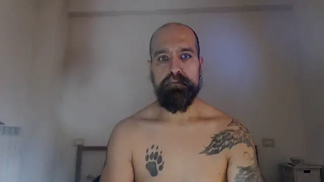 AMIRDIB2025 Show in webcam