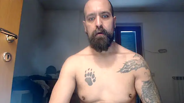 AMIRDIB2025's Webcam Show