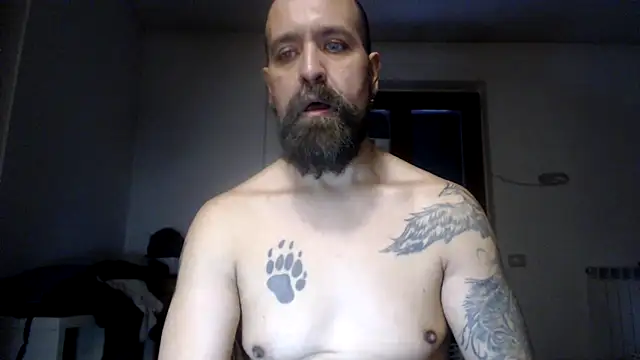 Show de webcam de AMIRDIB2025