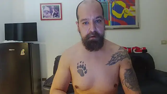 AMIRDIB2025 Webcam show