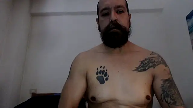 AMIRDIB2025 Show in webcam