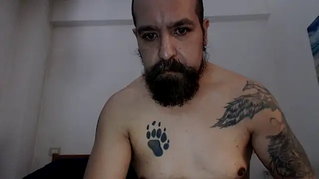 عرض كام AMIRDIB2025