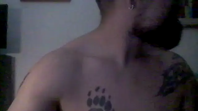 Show de AMIRDIB2025 na webcam