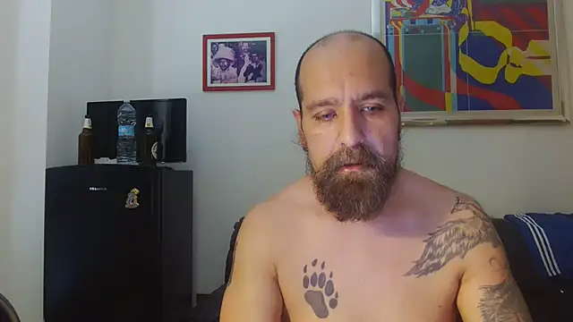 Show Webcam de AMIRDIB2025