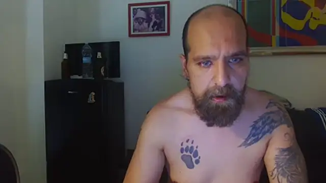 AMIRDIB2025 Show in webcam