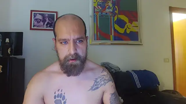 Pokazy przed kamerką – AMIRDIB2025