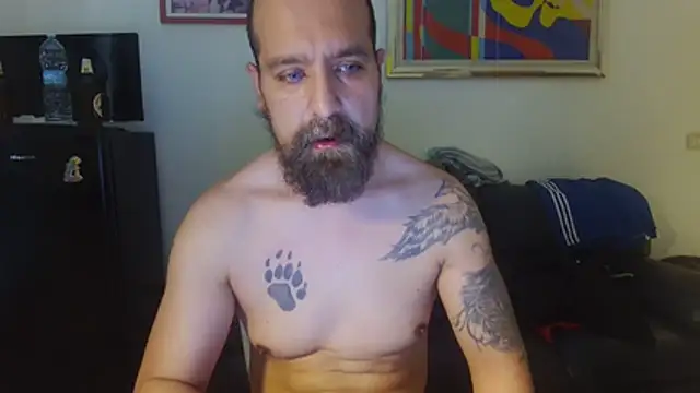 AMIRDIB2025 Show in webcam