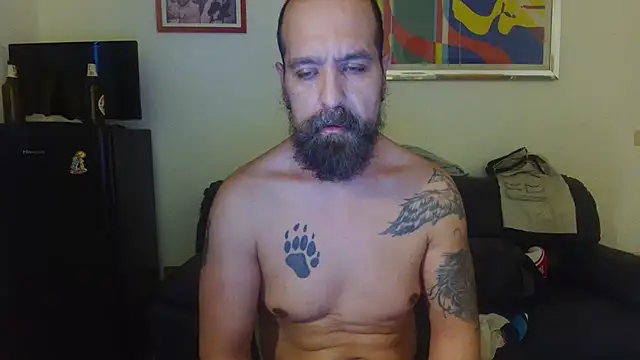 AMIRDIB2025 Webcam Show