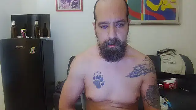 AMIRDIB2025 Show in webcam