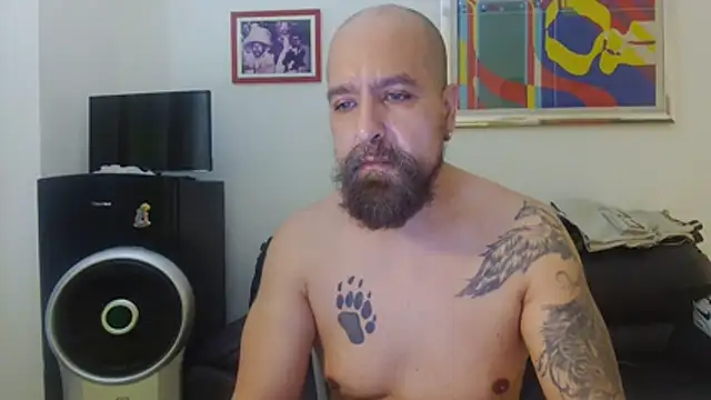عرض كام AMIRDIB2025