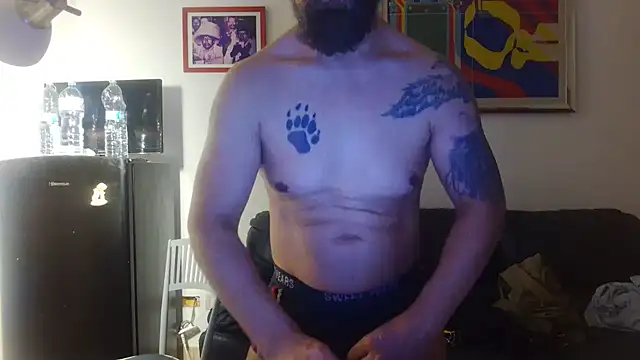 AMIRDIB2025 Show Webcam