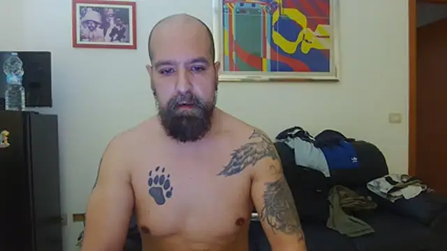 AMIRDIB2025 – webcam-show