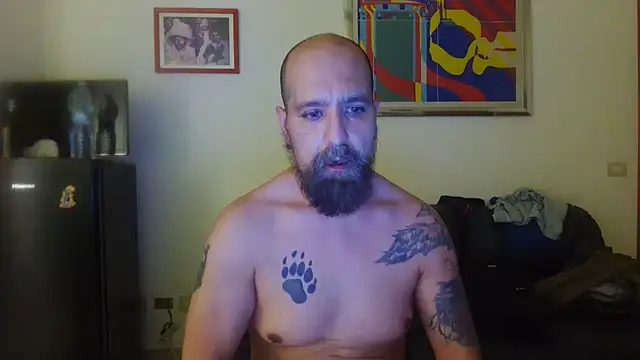 عرض كام AMIRDIB2025