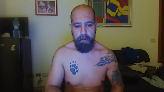 AMIRDIB2025 Webcamshow